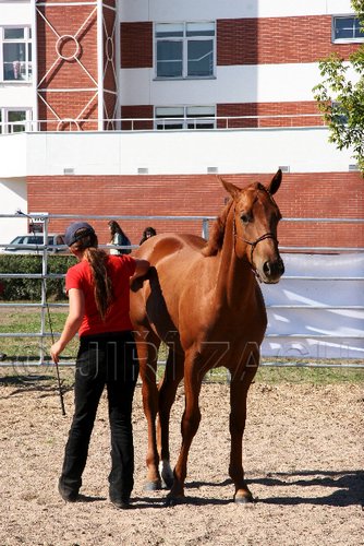 Par06_0912.jpg
