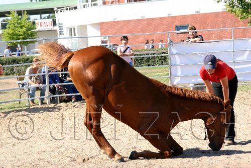 Par06_0919.jpg