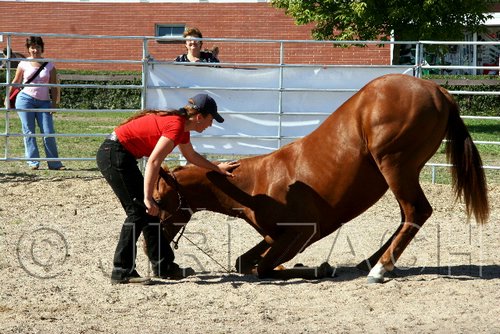 Par06_0924.jpg