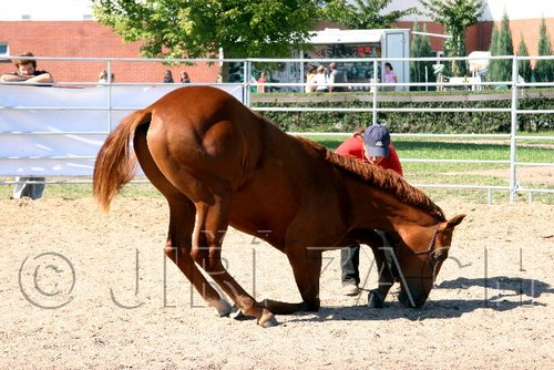 Par06_0925.jpg