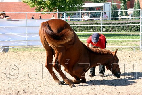 Par06_0926.jpg
