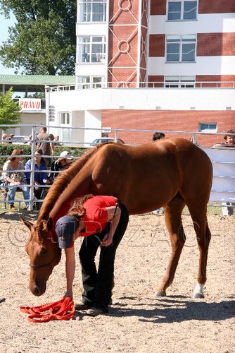 Par06_0928.jpg