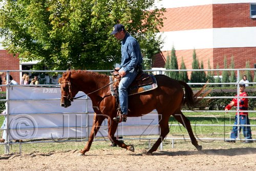 Par06_0947.jpg
