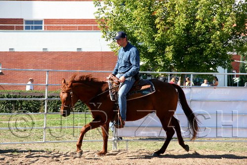 Par06_0951.jpg