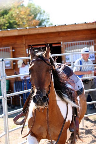 Par06_0994.jpg