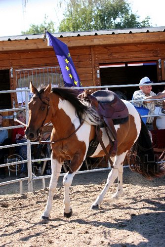 Par06_0998.jpg
