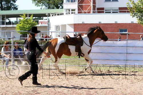 Par06_0999.jpg
