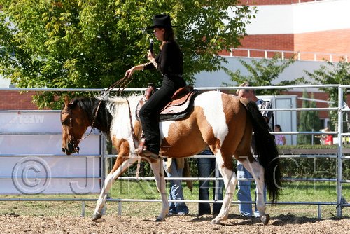 Par06_1015.jpg