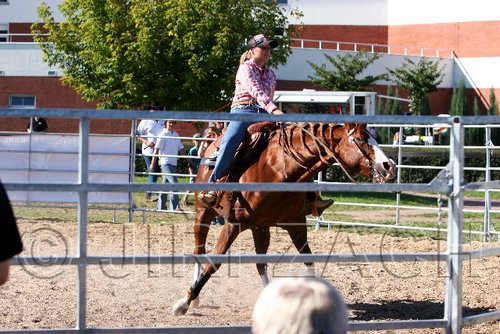 Par06_1043.jpg