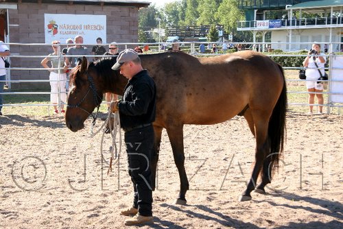 Par06_1047.jpg