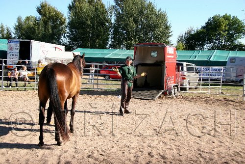 Par06_1049.jpg