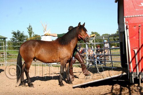 Par06_1087.jpg