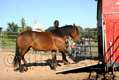Par06_1090.jpg