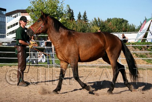 Par06_1093.jpg