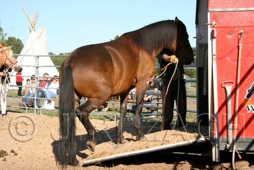 Par06_1095.jpg