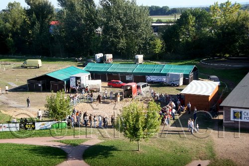 Par06_1105.jpg