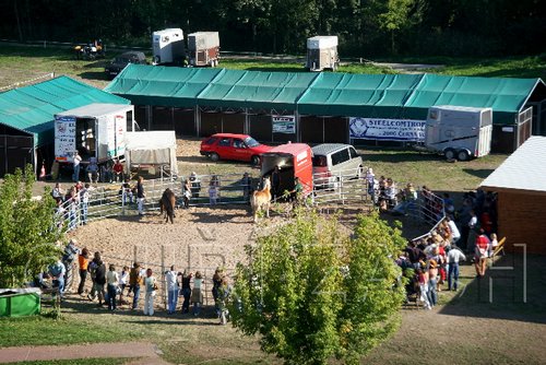 Par06_1109.jpg