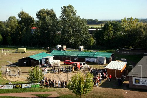 Par06_1110.jpg