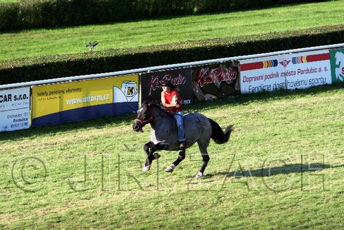 Par06_1118.jpg