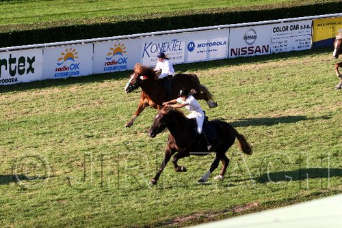 Par06_1119.jpg