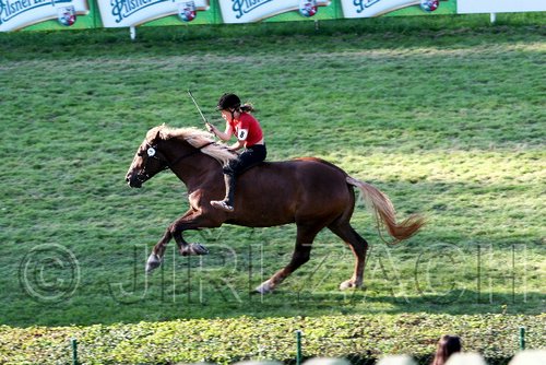 Par06_1123.jpg