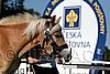 Par06_0598.jpg
