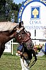 Par06_0611.jpg