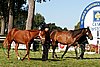 Par06_0643.jpg