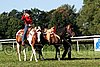 Par06_0652.jpg