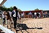 Par06_0789.jpg