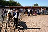 Par06_0793.jpg