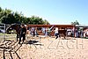Par06_0802.jpg