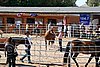 Par06_0809.jpg