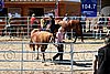 Par06_0813.jpg