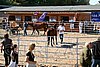 Par06_0815.jpg