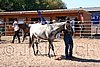 Par06_0841.jpg