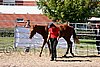 Par06_0915.jpg