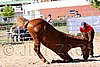 Par06_0919.jpg