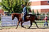 Par06_0947.jpg
