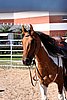 Par06_0991.jpg