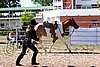 Par06_1001.jpg