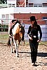 Par06_1003.jpg