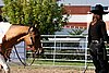 Par06_1004.jpg