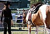 Par06_1007.jpg