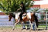 Par06_1015.jpg