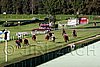 Par06_1116.jpg