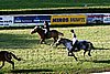Par06_1122.jpg