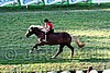 Par06_1123.jpg