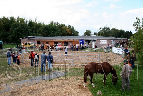 Par06_0032.jpg