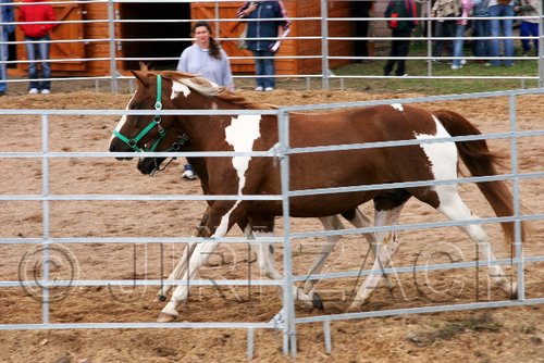 Par06_0034.jpg
